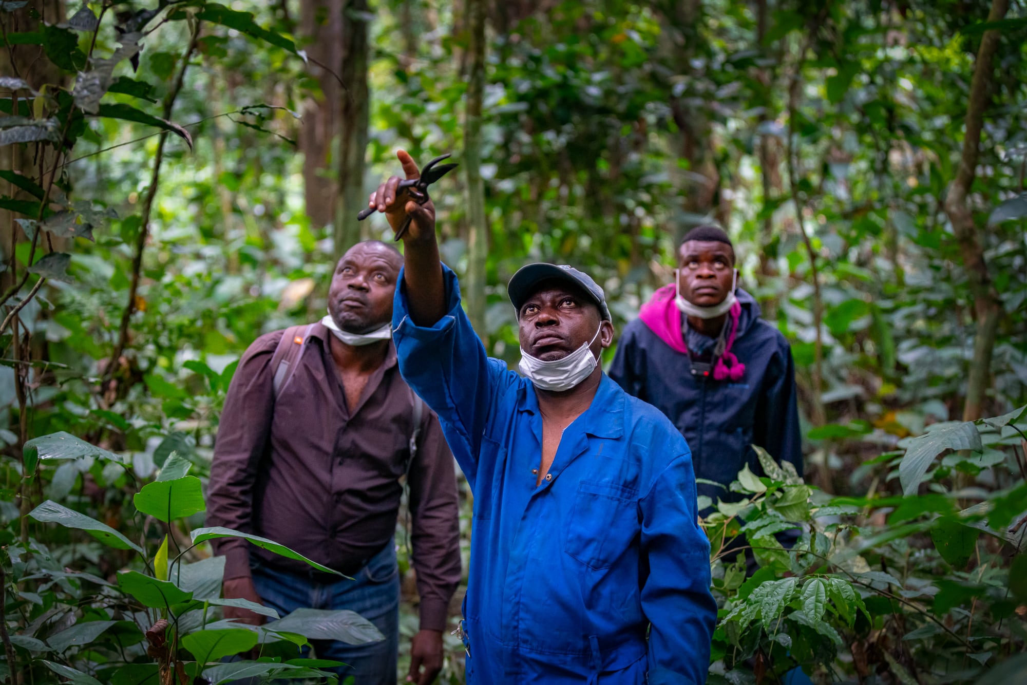 A new Congo Basin Programme