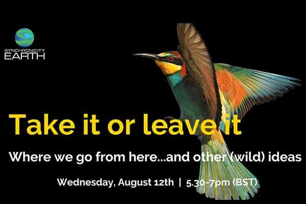 poster with a hummingbird reading 'take it or leave it' in yellow writing