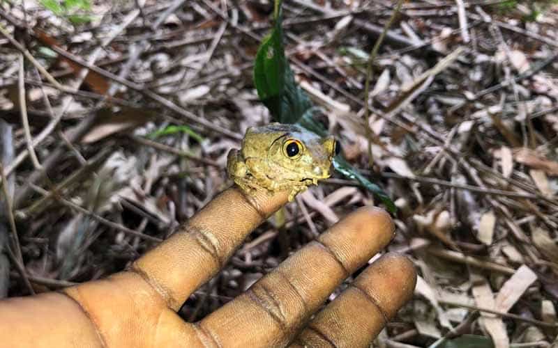 Image of a man holding a squeaker frog