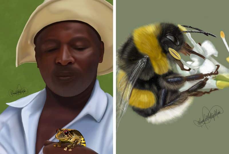 Two paintings, one of a man holding a frog and one of a bee on a flower