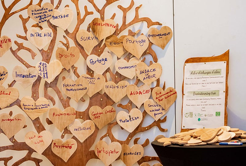 A tree covered in wooden hearts, written on by attendees sharing what community forestry means to them - like 'sharing' and 'participation'