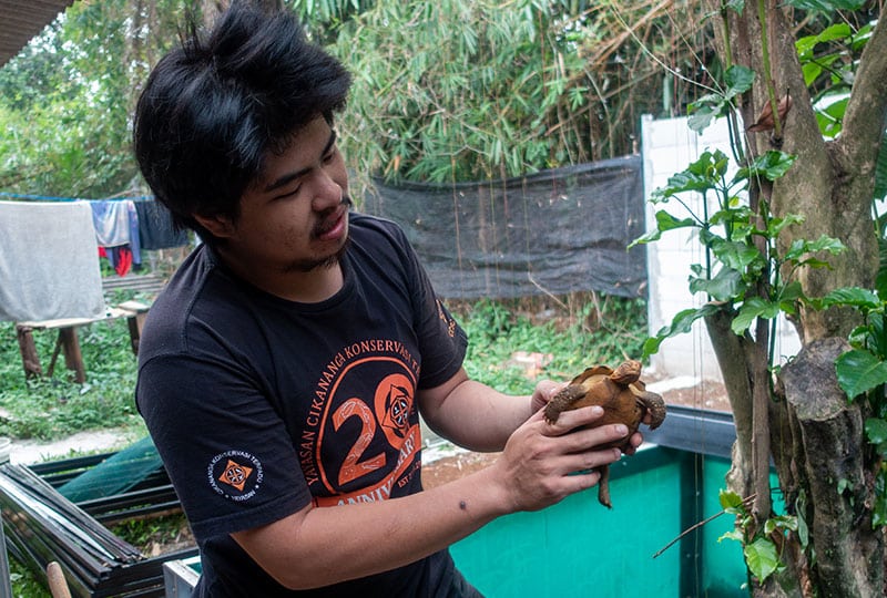 A person holds a turtle