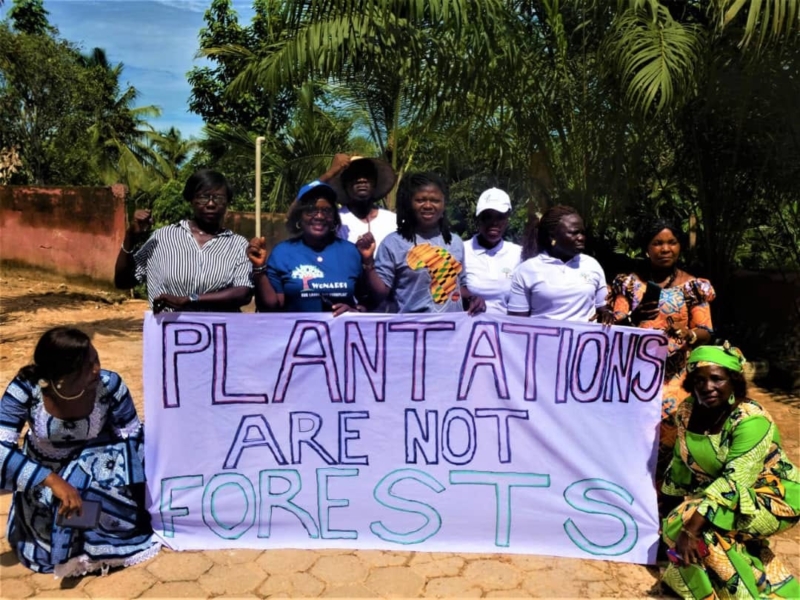 Group of nine members of JVE Côte d’Ivoire holding a banner which says ' plantations are not forests' advocating for sustainable agriculture.