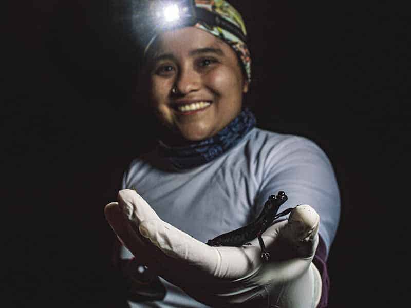 A woman wearing a head torch smiles and holds out a dark coloured salamander in a gloved hand