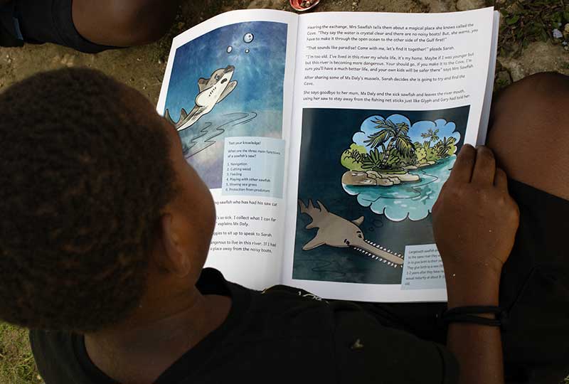 Child reads sawfish book